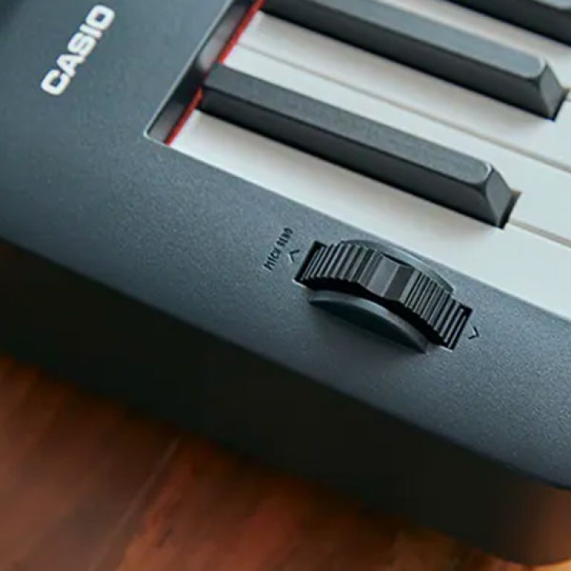 Shop CASIO 88Key Digital Weighted Piano Keyboard with 700 HighQuality Builtin Tones with